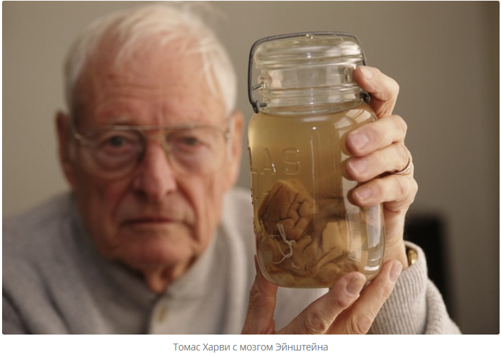 Альберт Эйнштейн. Все знают это имя, но не все знают, кто он.