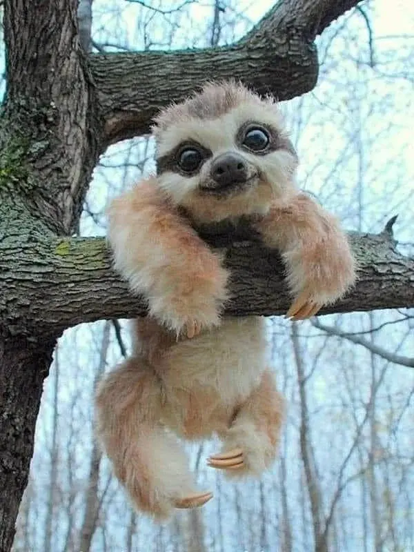 Уникальные работы.