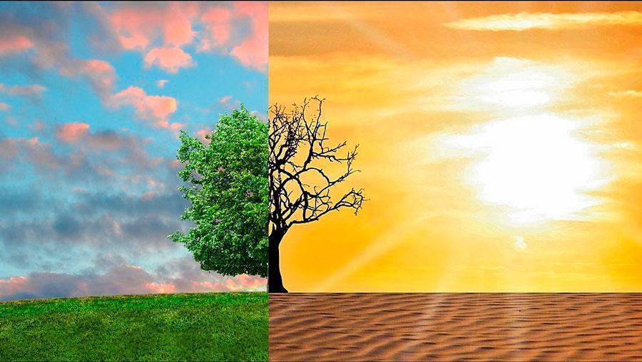 Роль технологий в борьбе с изменением климата