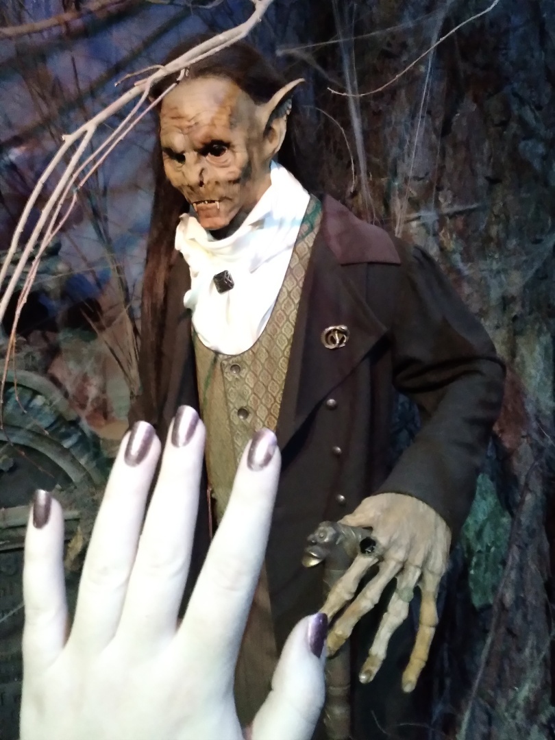 Фантастические твари и где они обитают. Бестиарий в Санкт-Петербурге