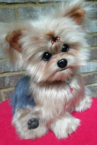 Уникальные работы.