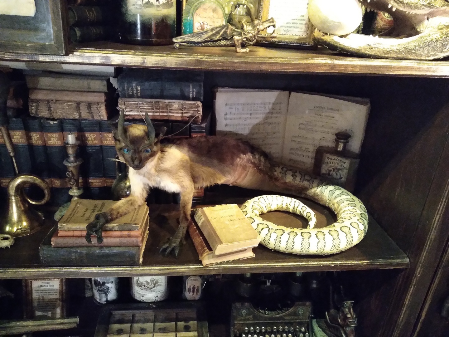 Фантастические твари и где они обитают. Бестиарий в Санкт-Петербурге