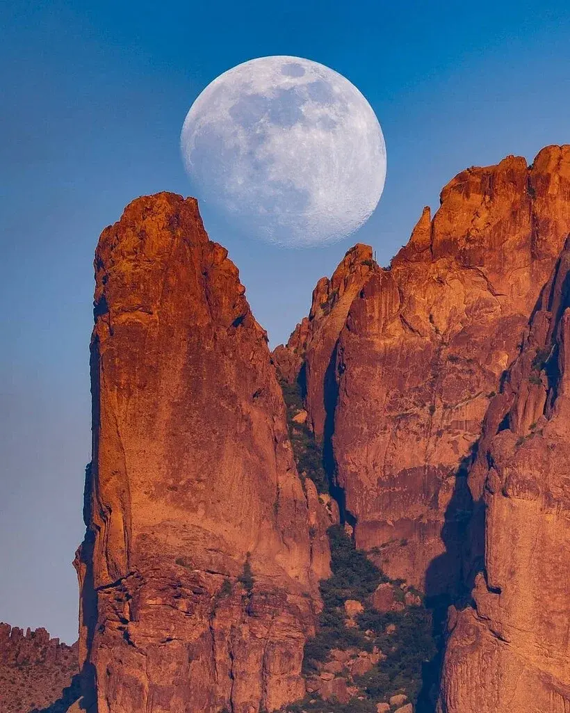 Очаровательное светило.