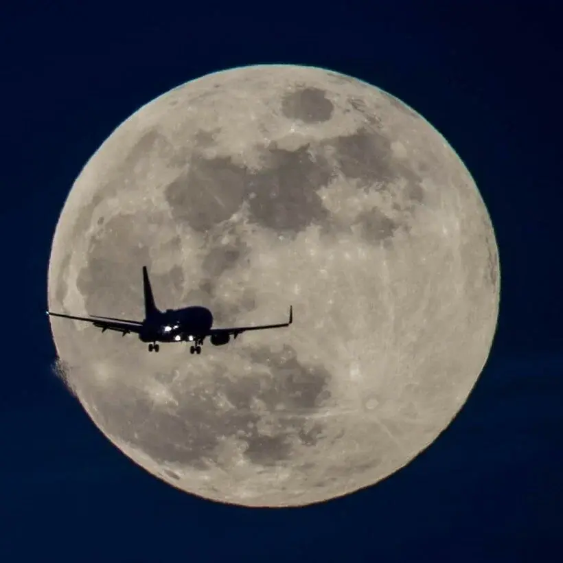 Очаровательное светило.