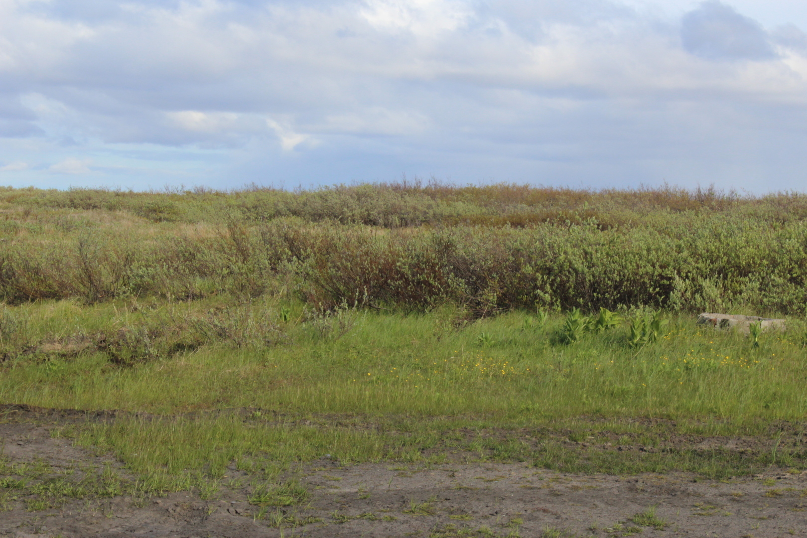 Древний Шёлковый путь, от античности до наших дней (часть 1-я)