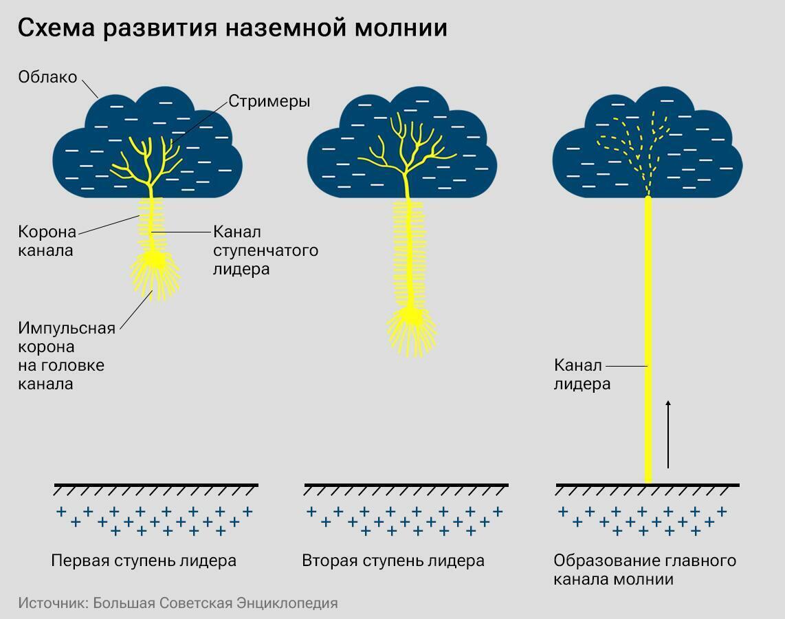 Канал молния 3. Молнии. Поражение атмосферным электричеством. Легкие цветы в грозу.