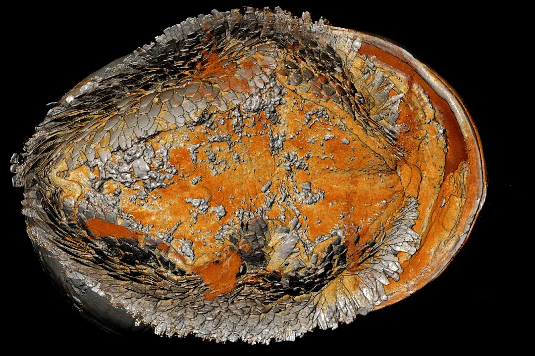 Броня крепка и танки наши быстры !?