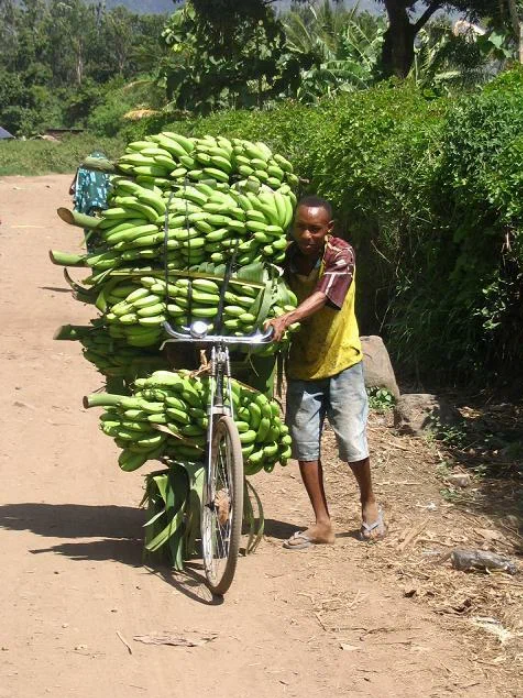 Рассказ про банан