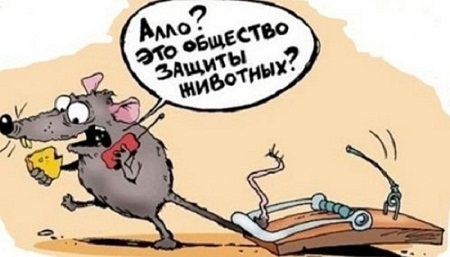 Нет,это общество трезвости.