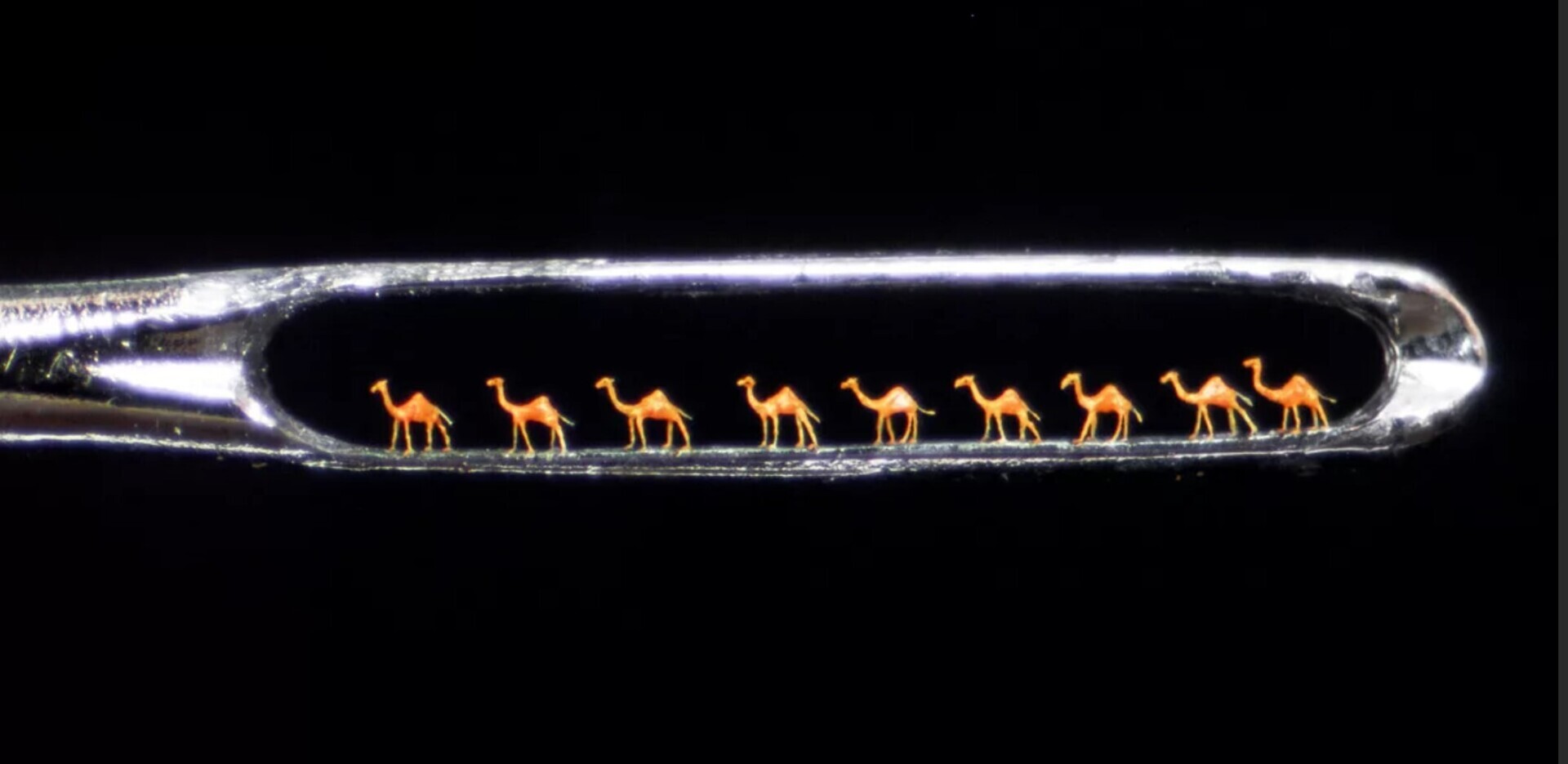 Маленькие чудеса которые реально существуют в нашем мире