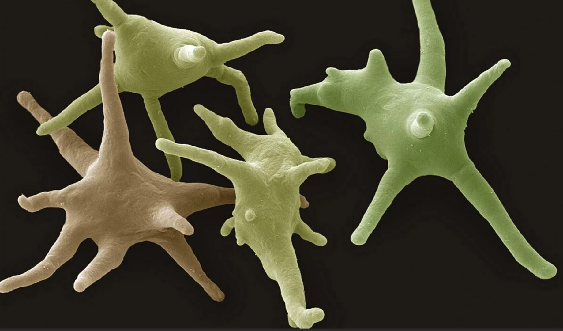 Маленькие чудеса которые реально существуют в нашем мире