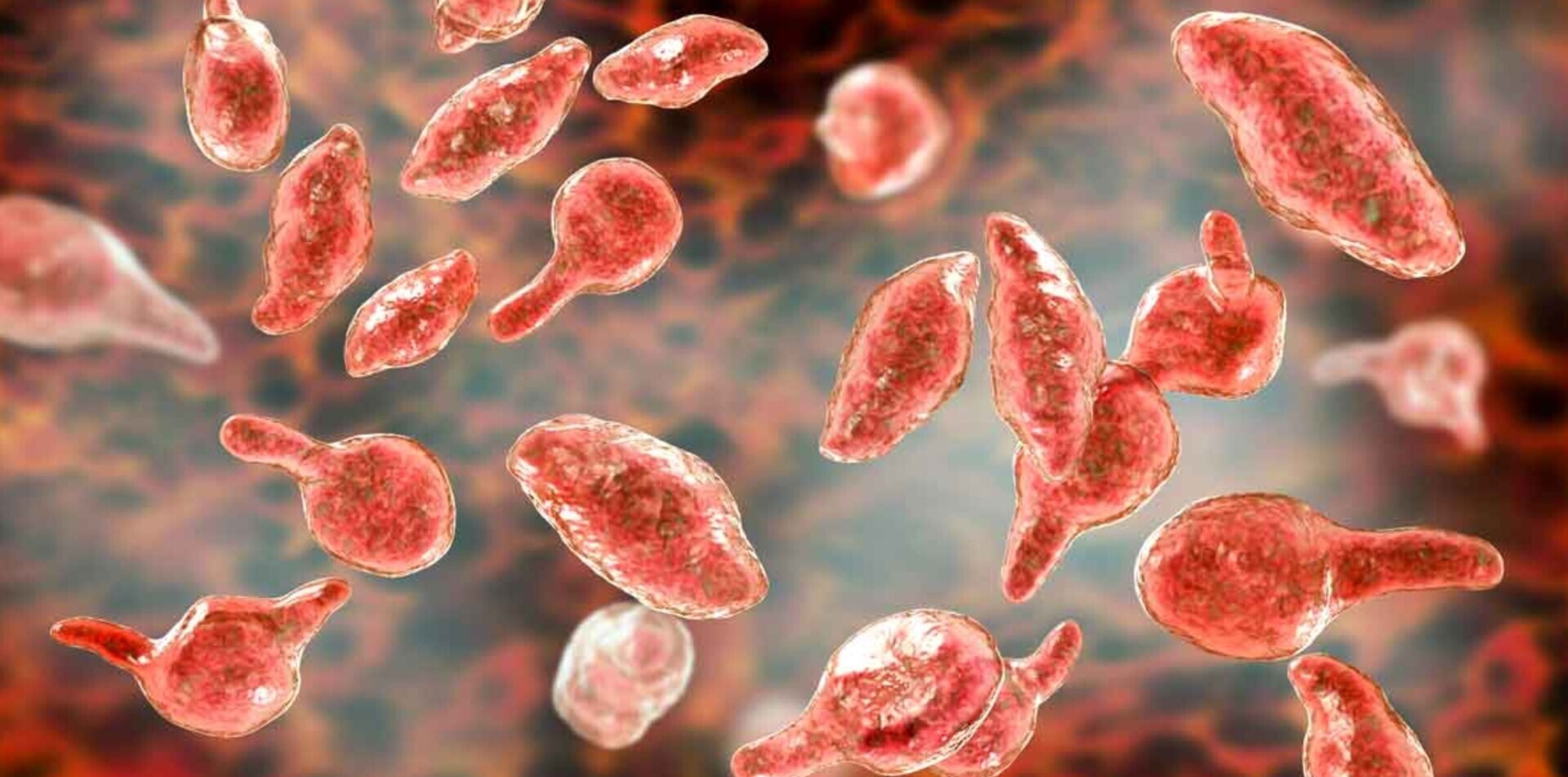 Маленькие чудеса которые реально существуют в нашем мире