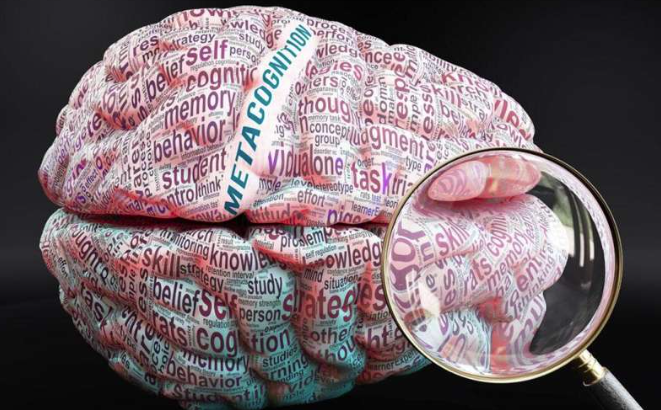 Разгадка человечности в метакогнитивных способностях: Отличие человеческого метакогнитивного обучения от ИИ