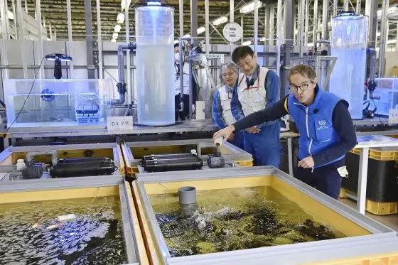 Некоторые соседи Японии сходят с ума из-за сброса воды с Фукусимы. Должны ли они быть?