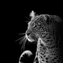 Виктория, г. Псков