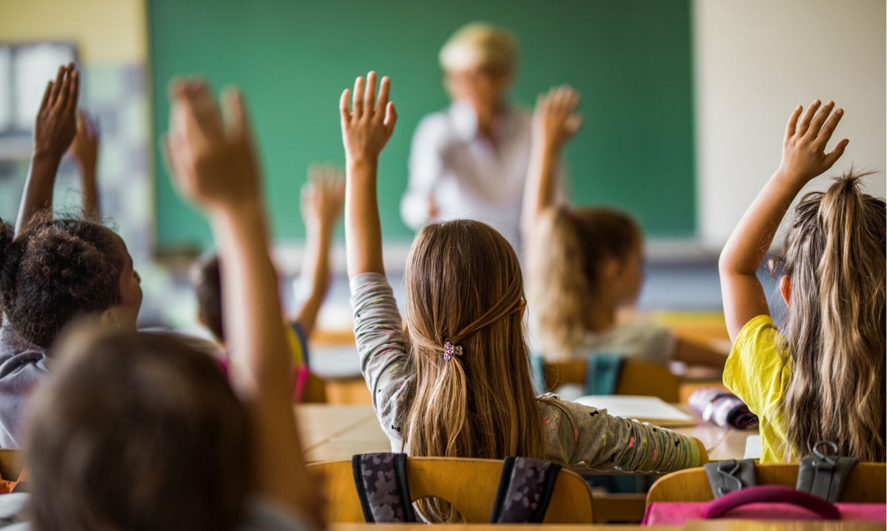 Будут ли новые выплаты на детей к школе в 2023 году