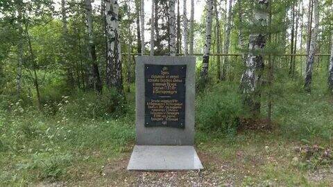 Тайна Ипатьевского подвала.