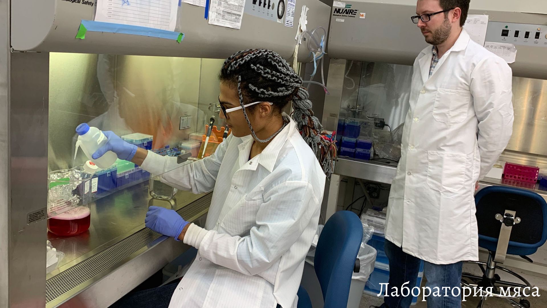 "Выращенное в пробирке: взгляд в будущее производства мяса"