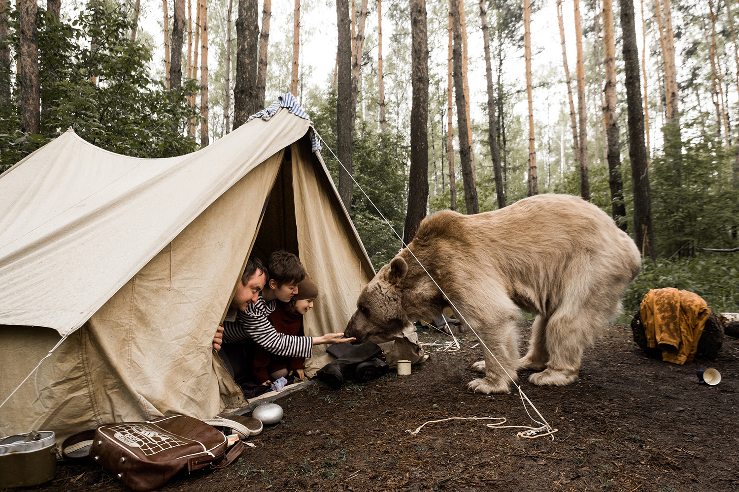 Tourist camp. Палатка на природе. Медведь в походе. Туристы в лесу. Охотничий туризм.