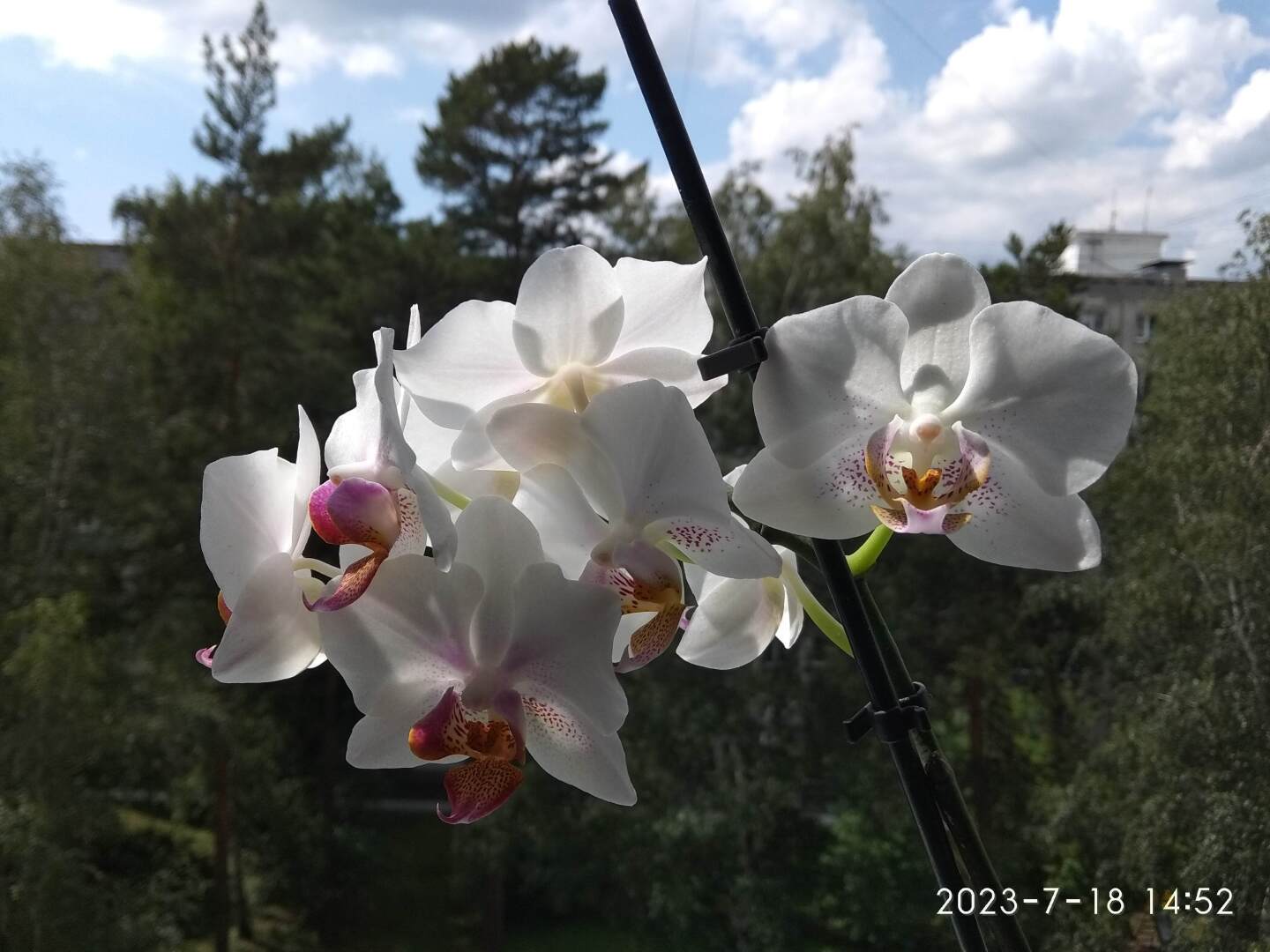 Юридическая консультация 2023 09 29 (чего стоит простая ошибка "опытного" юриста)