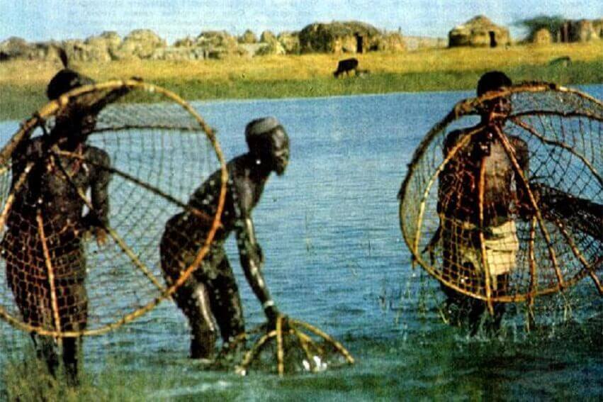 Пугающие явления острова "безвозвратный" .