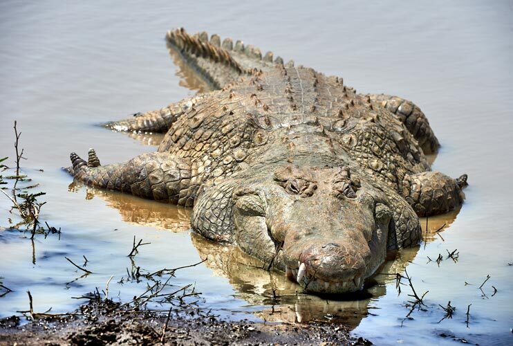 Пугающие явления острова "безвозвратный" .