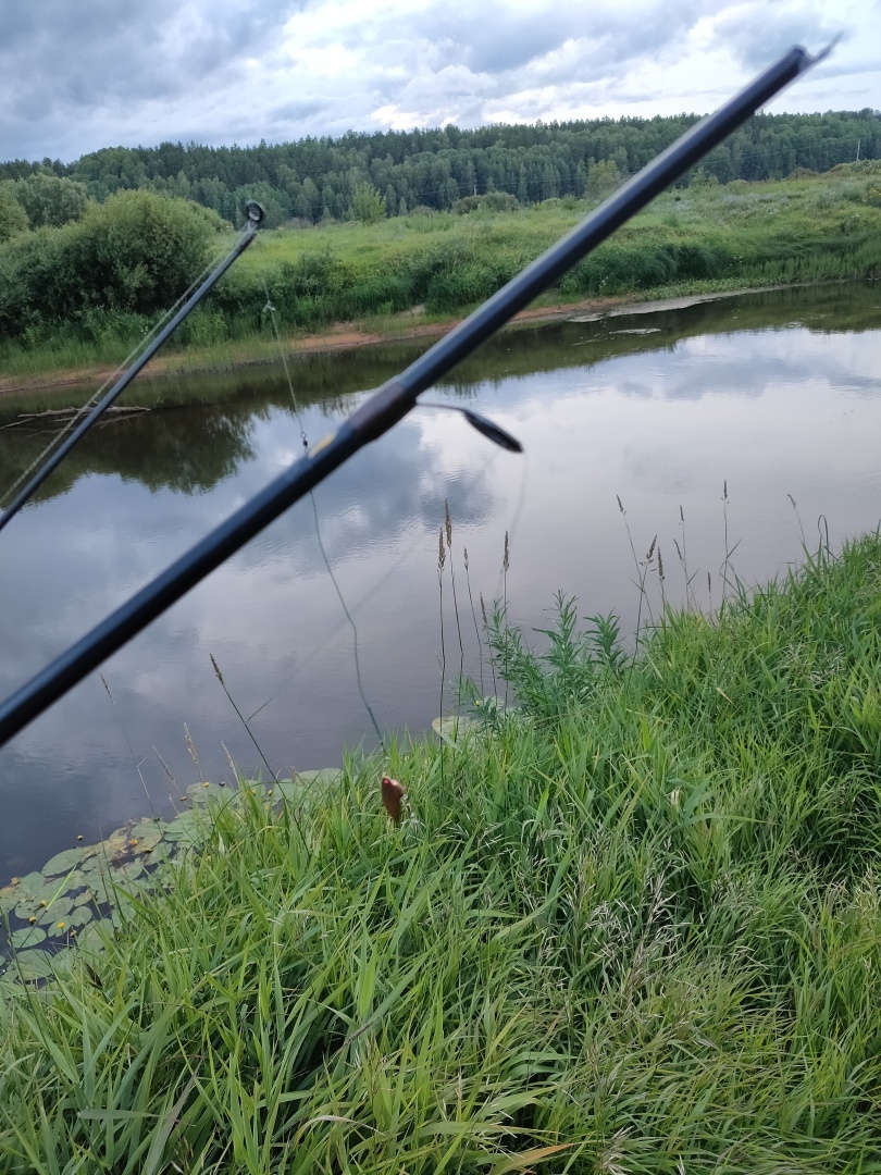 Никогда больше не куплю спиннинг не подержав его в руках!