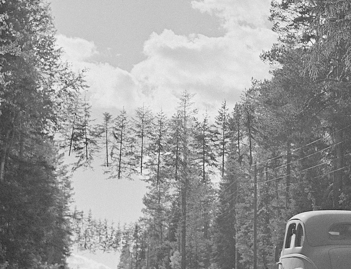 Существует карта раздела России?