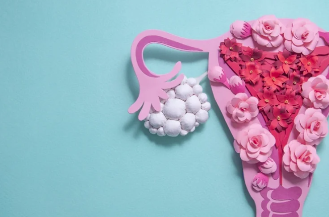 Прорыв в области здоровья кишечника: пробиотики показали перспективность в лечении ПКОС у подростков с ожирением