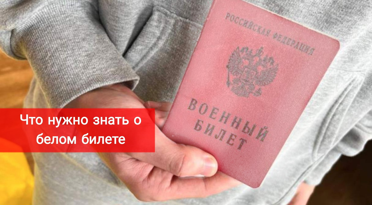 Что нужно знать о белом военном билете