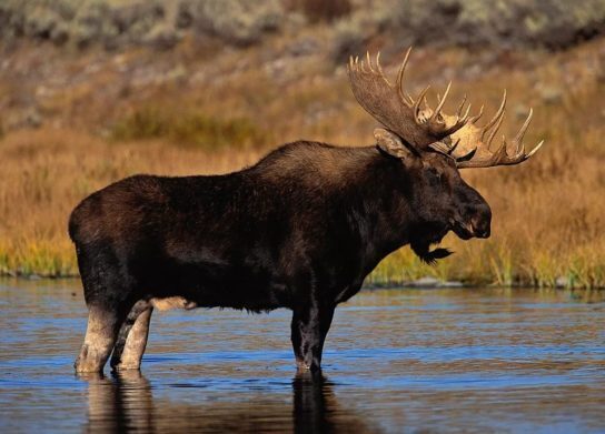 Достопримечательности Челябинской области