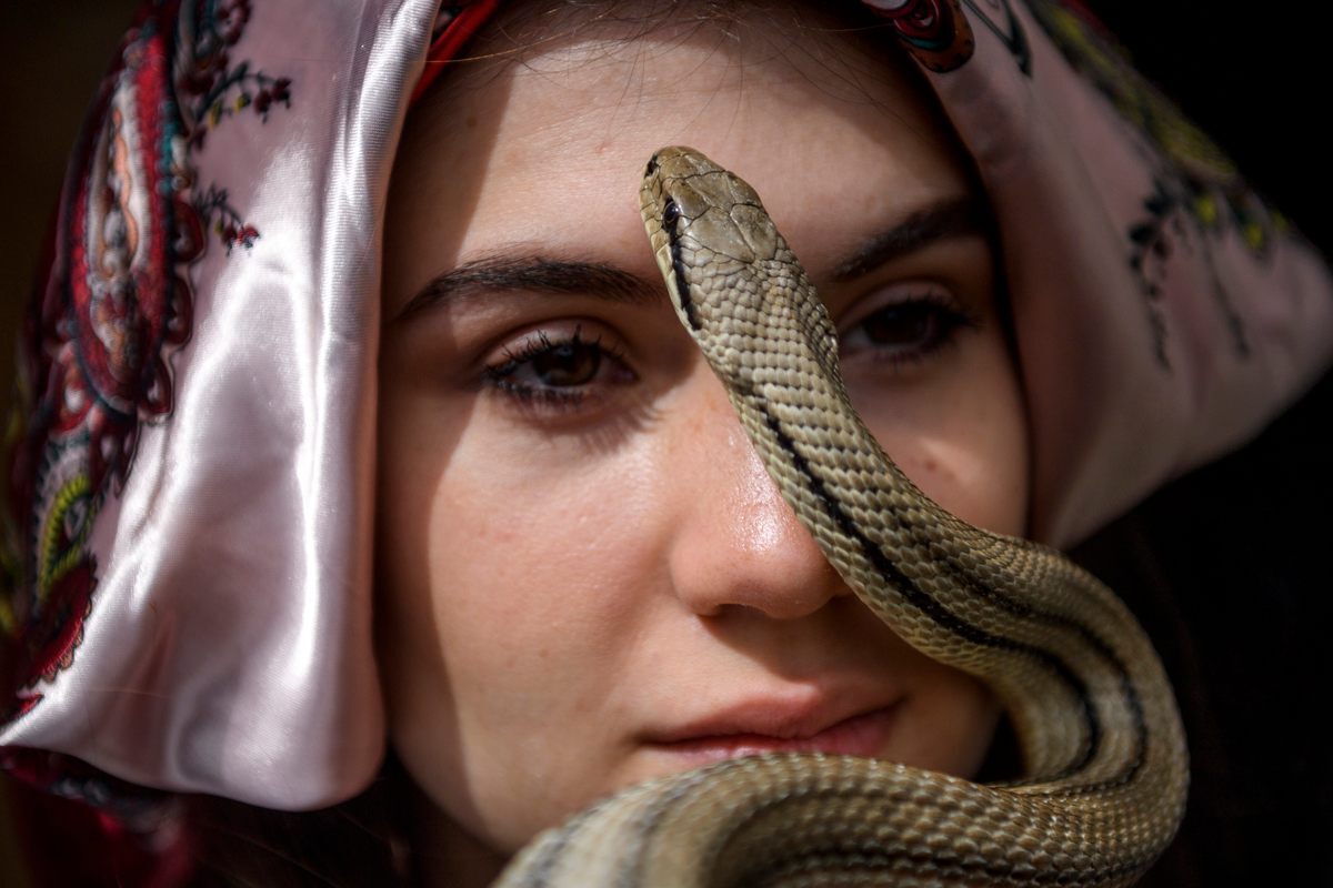 Старинный фестиваль змей в Италии