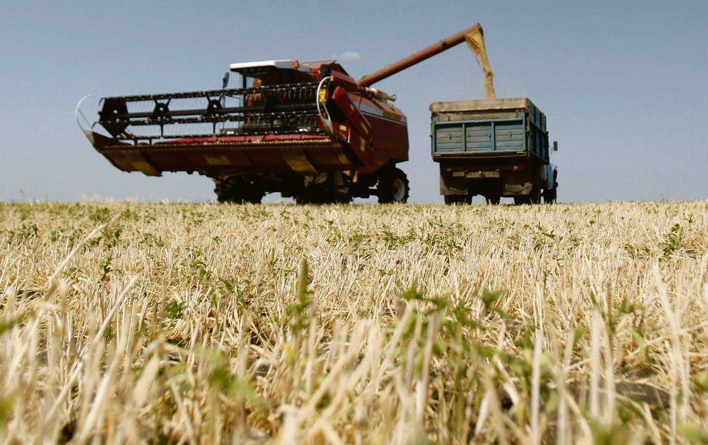 Трудности добычи хлеба на полях