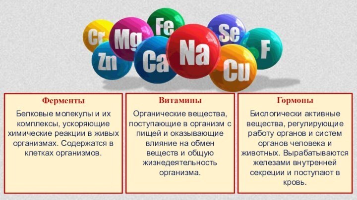 Проект ферменты и их роль в организме