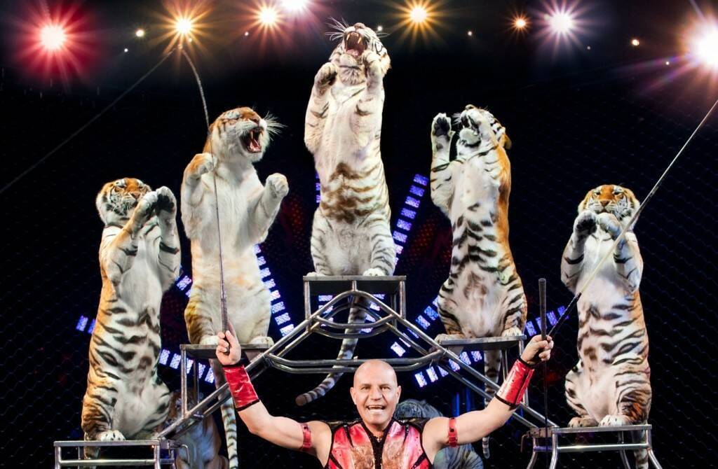 Почему все, и я в том числе, любят Цирк?