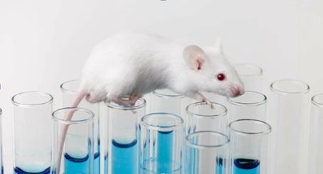 Необходимость тестирования новых препаратов на животных