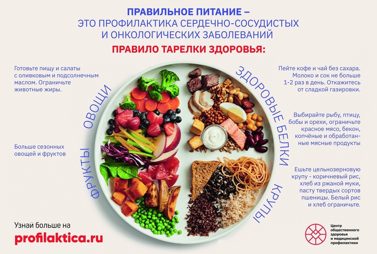 Витамины являются катализаторами жизненно важных функций нашего организма.