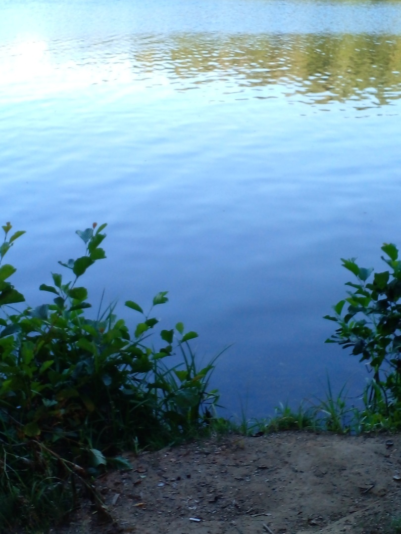 Вода в реках, чистота.