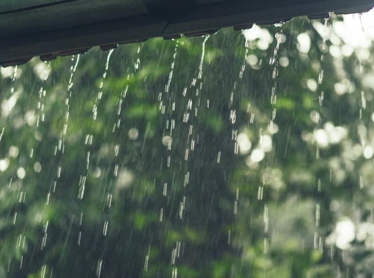 Два филиала «Дождя» признаны нежелательными для России