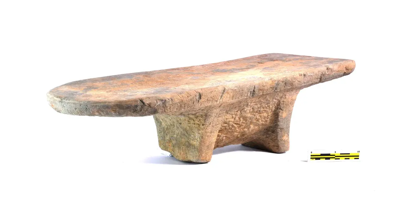 Ученые расшифровали рецепт карри, которому 2000 лет