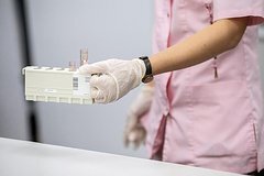 В российском регионе ввели карантин из-за вспышки птичьего гриппа