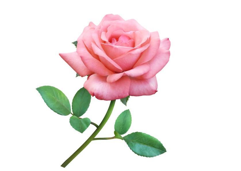 Романтика? А почему нет?