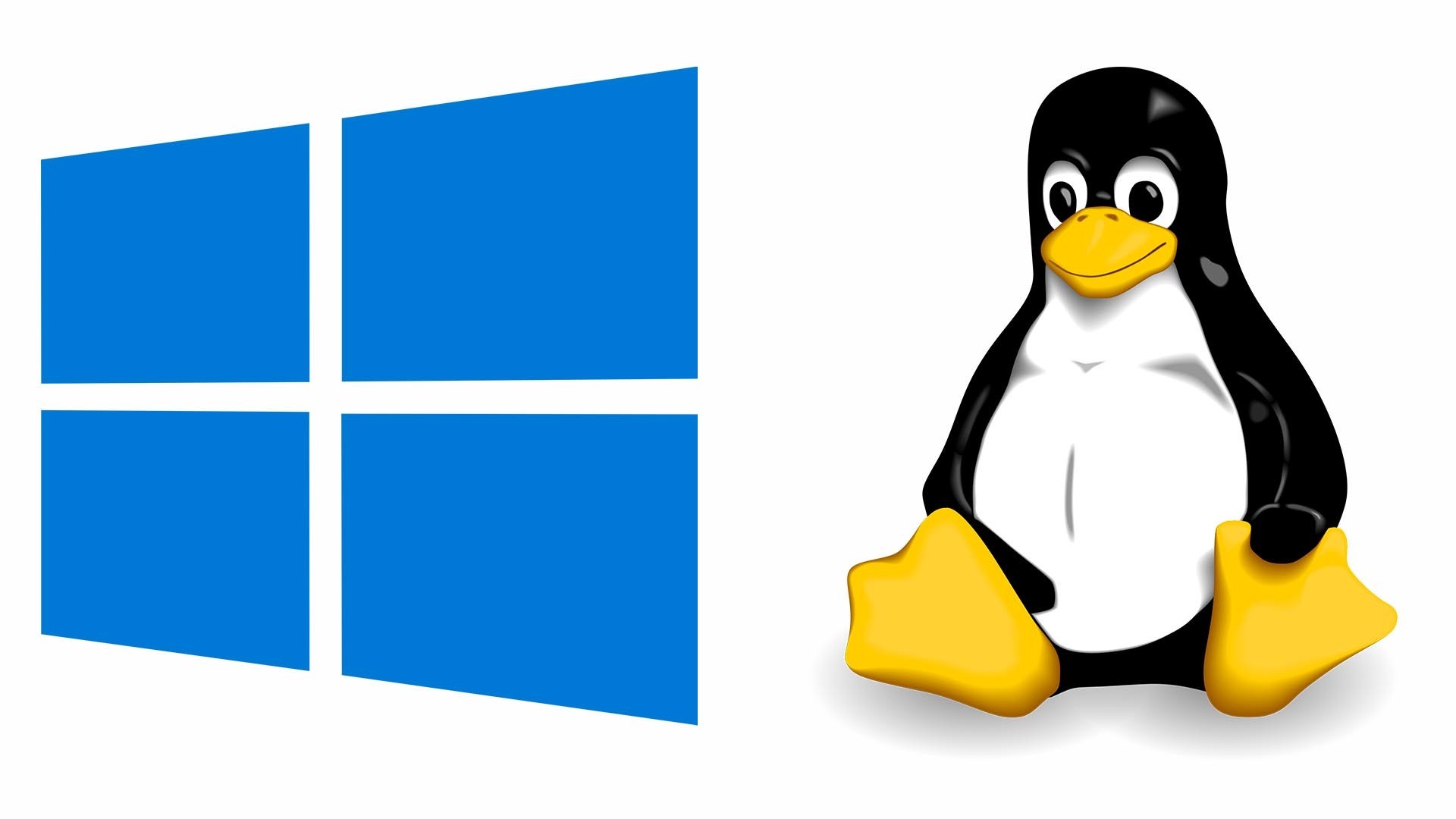 Choose desktop. Windows Linux. Линукс Windows. Логотипы линукс и виндовс. Linux Пингвин.
