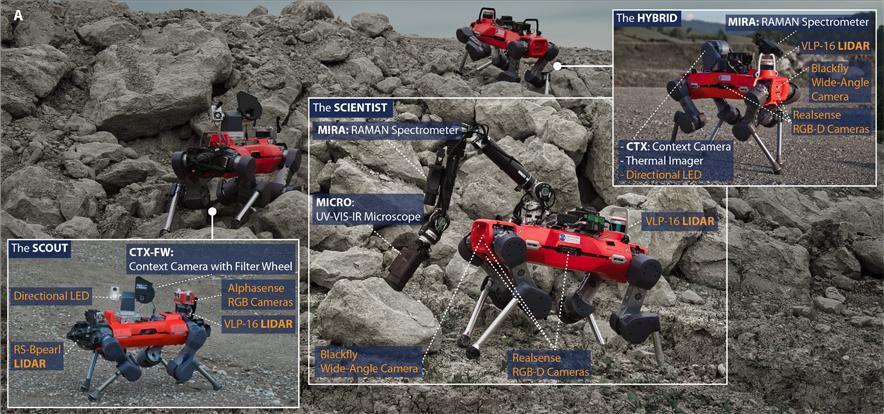 Команда роботов
