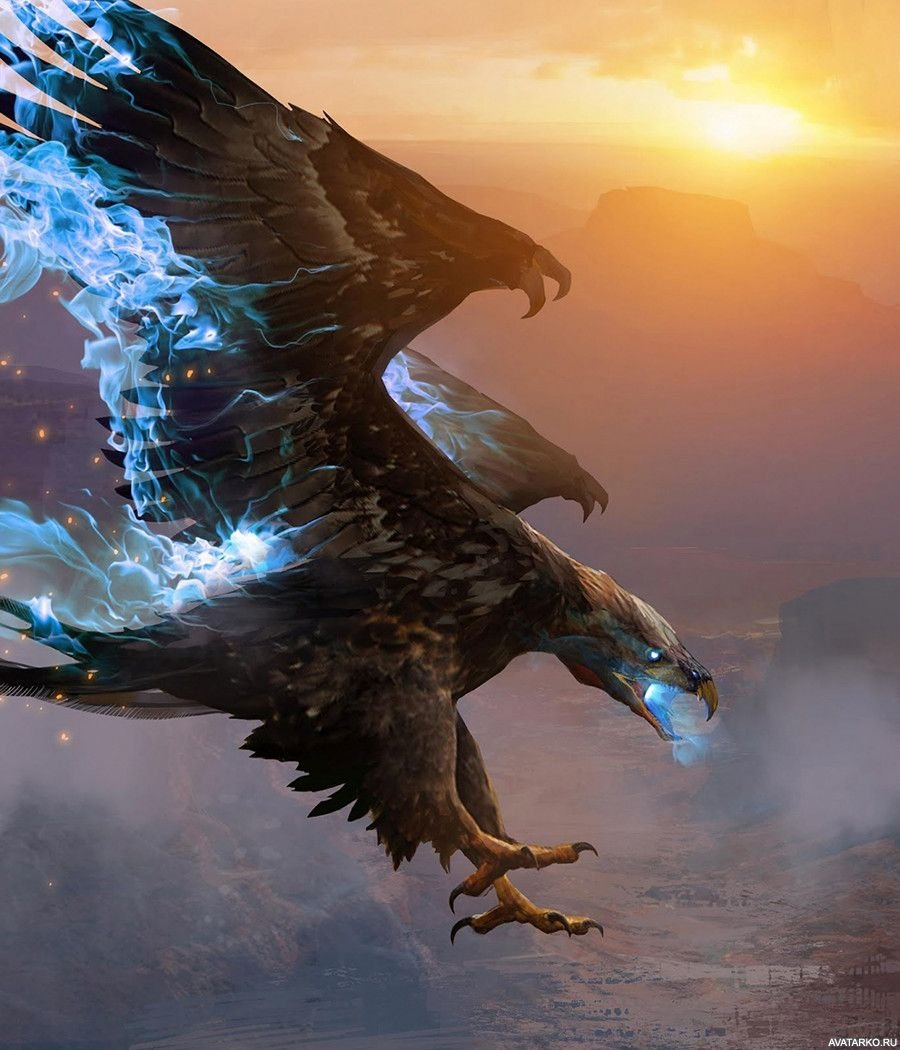 "Тайна вождя перьев: Приключения ястреба-героя"