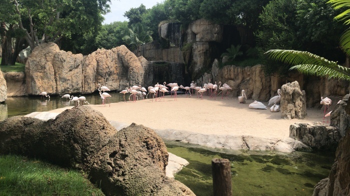 Не только человеческие дети нуждаются в тепле и ласке матери.