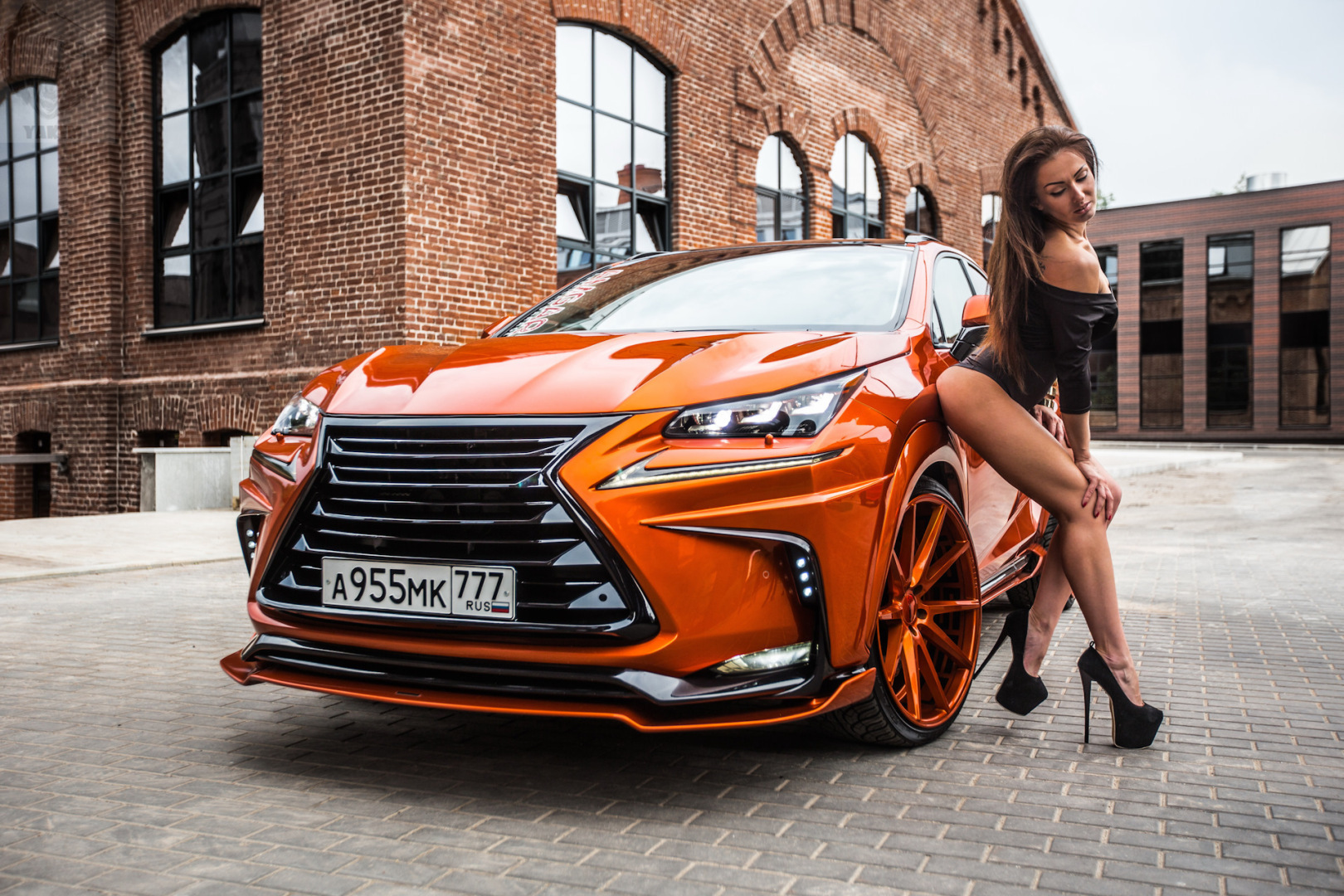 Родоначало-Lexus.