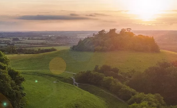 Нашли останки крошечной римской собаки
