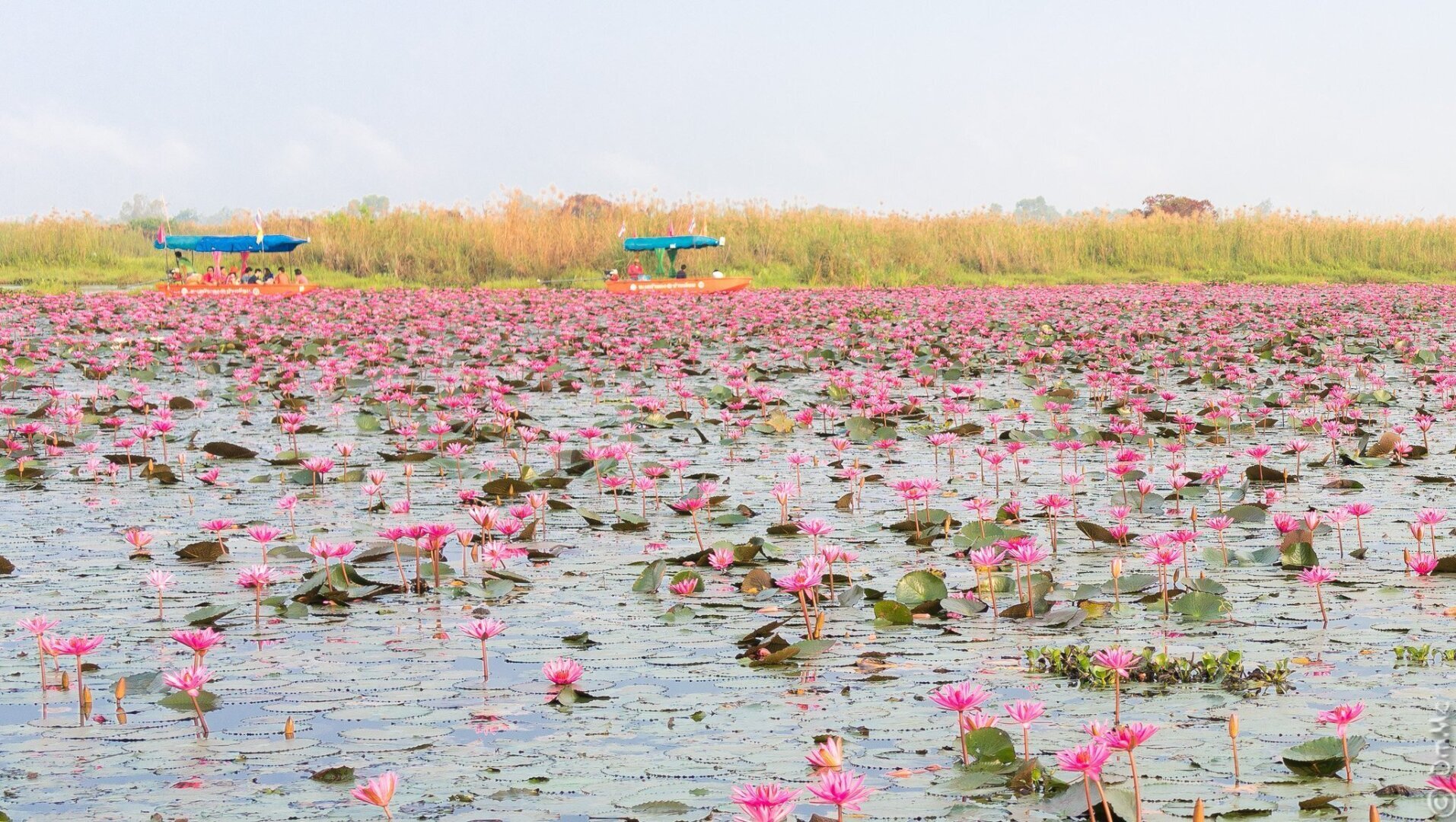 Хутор Лебяжья Поляна.