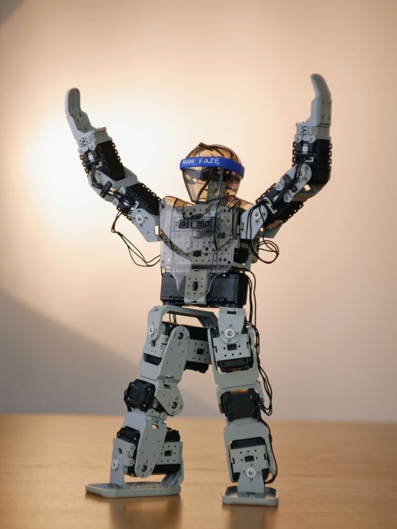 Пристав-робот на службе государства